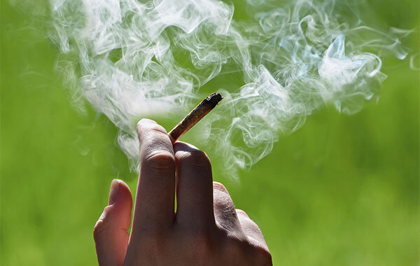 Produkte mit Hanf - Was Kapseln und Öle mit CBD taugen