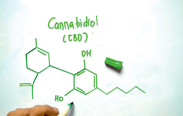 Produkte mit Hanf - Was Kapseln und Öle mit CBD taugen