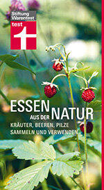 Wildpilze sammeln und zubereiten - Tipps für den sicheren Genuss