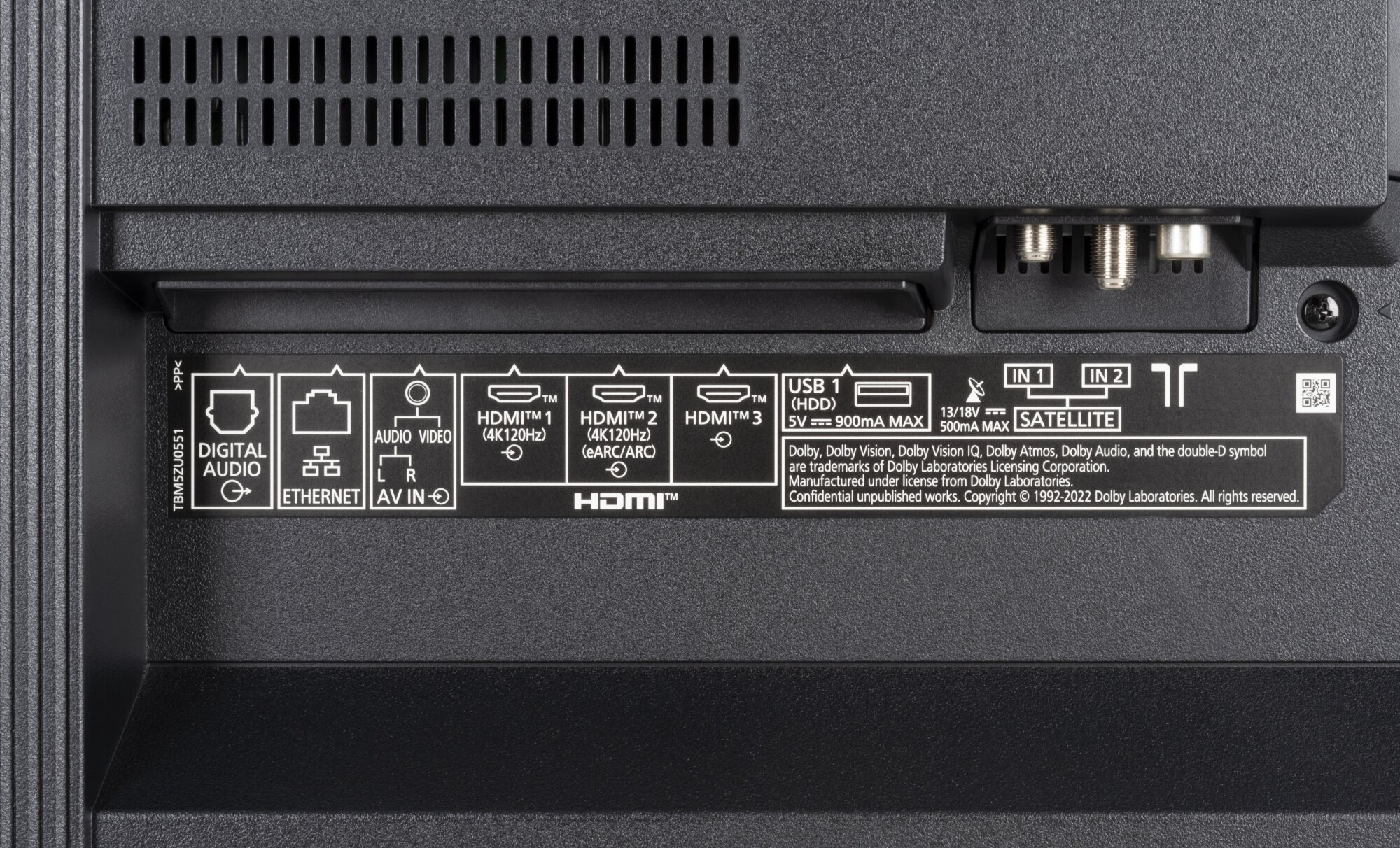 Panasonic TX-55MZW2004 weitere Anschlüsse