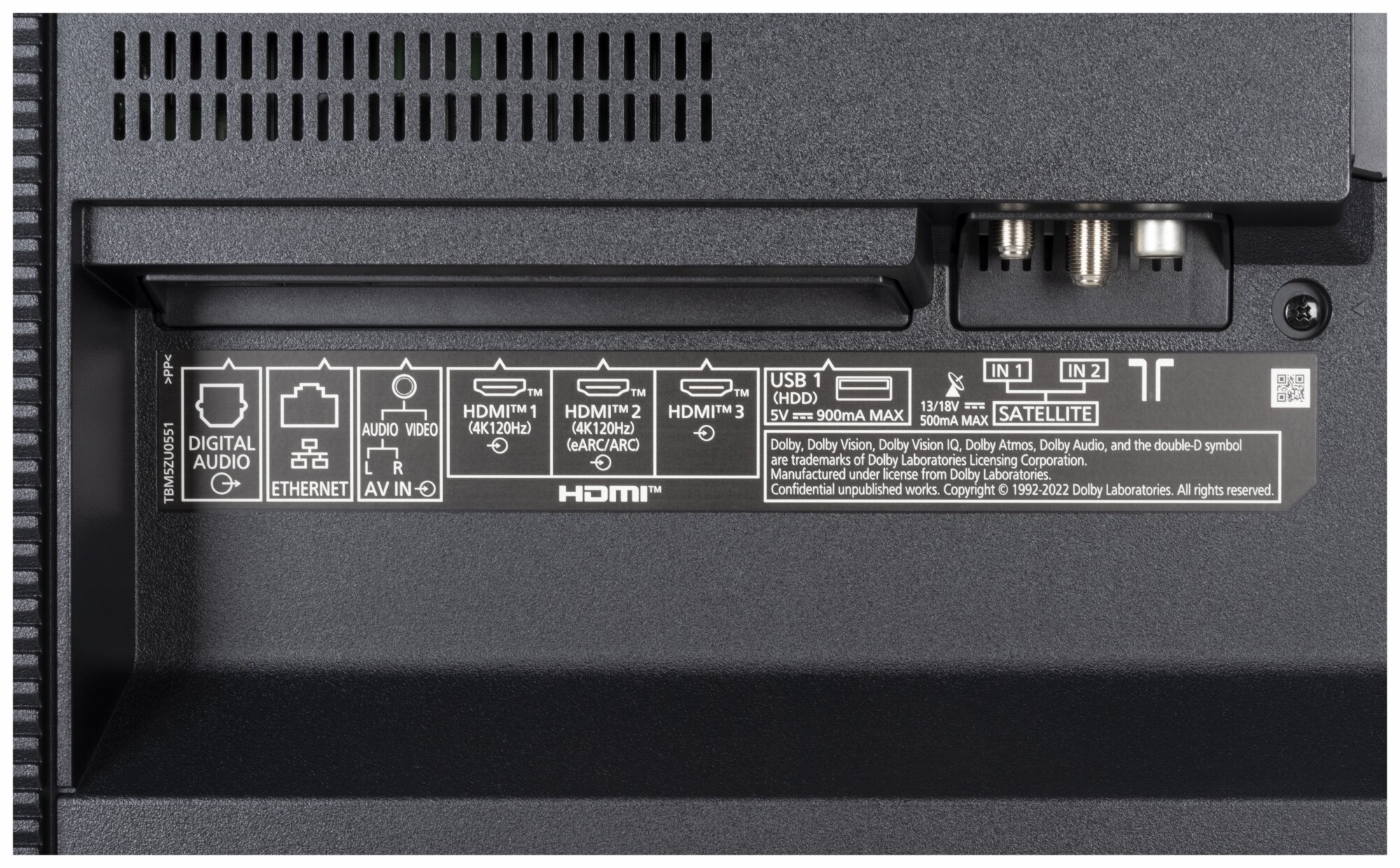 Panasonic TX-55MZW984 weitere Anschlüsse