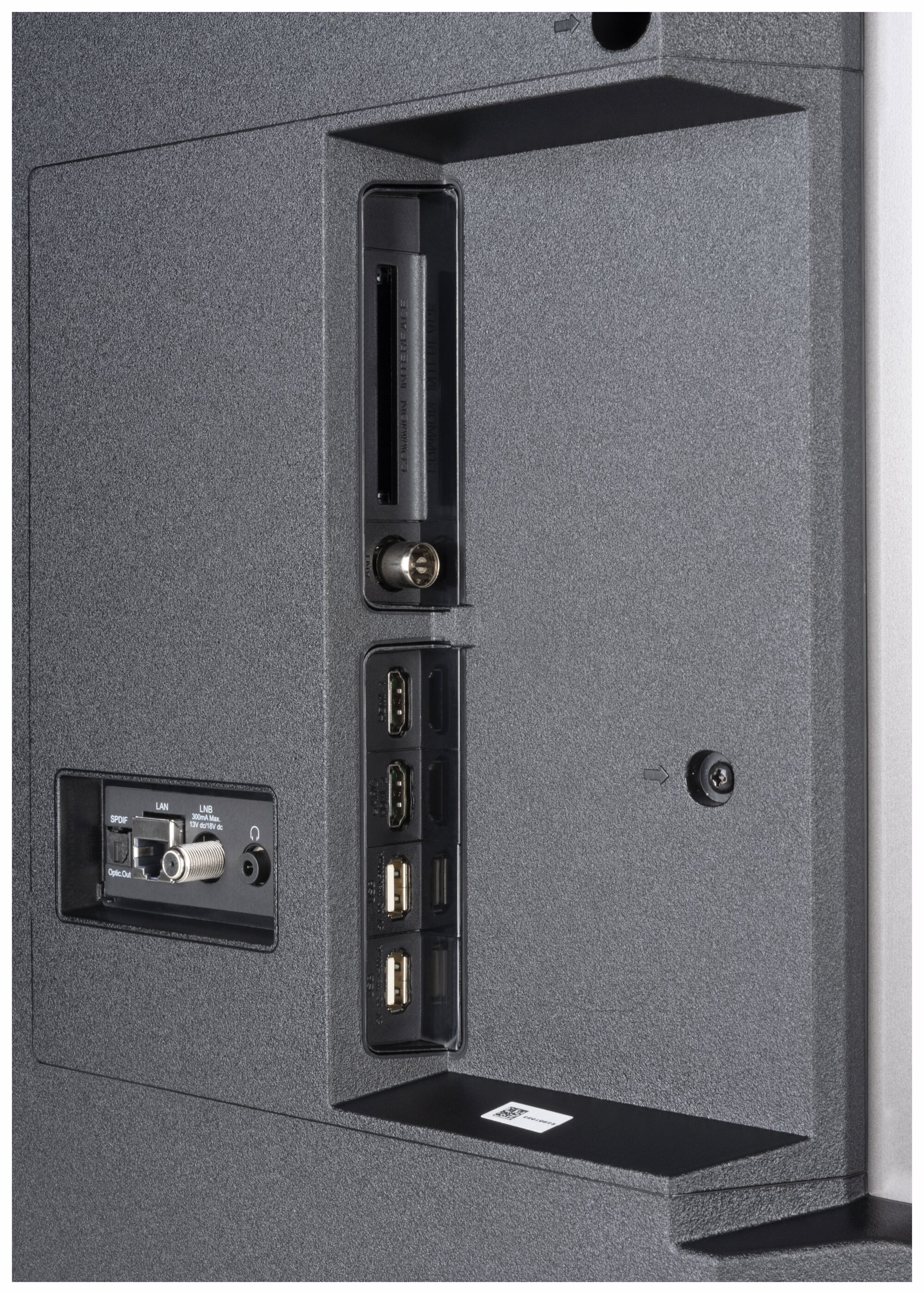 Panasonic TX-48MZ700E Anschlüsse