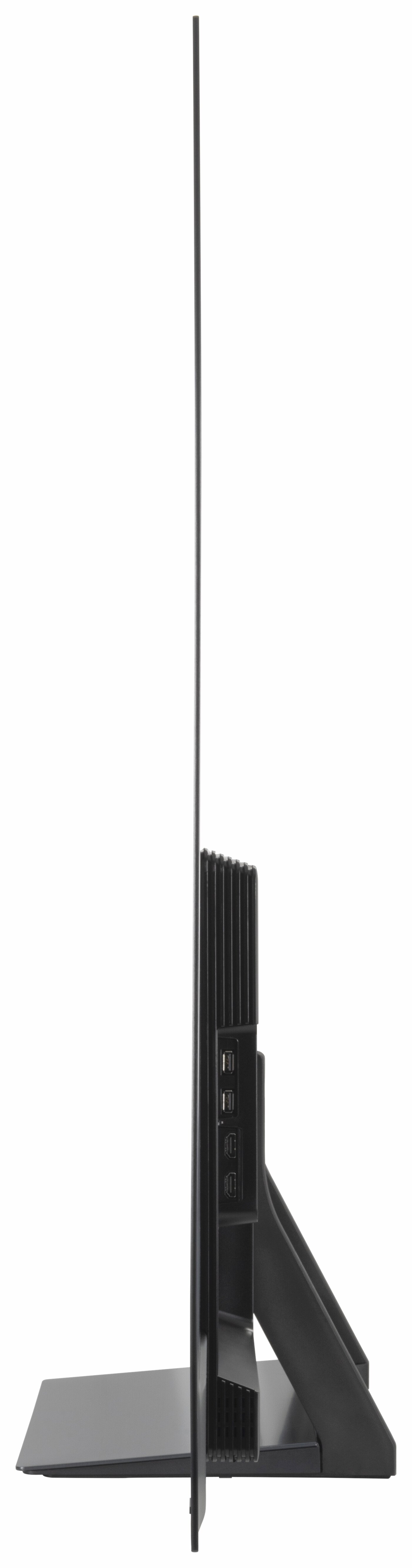 Samsung GQ65S90DAT Seitenansicht