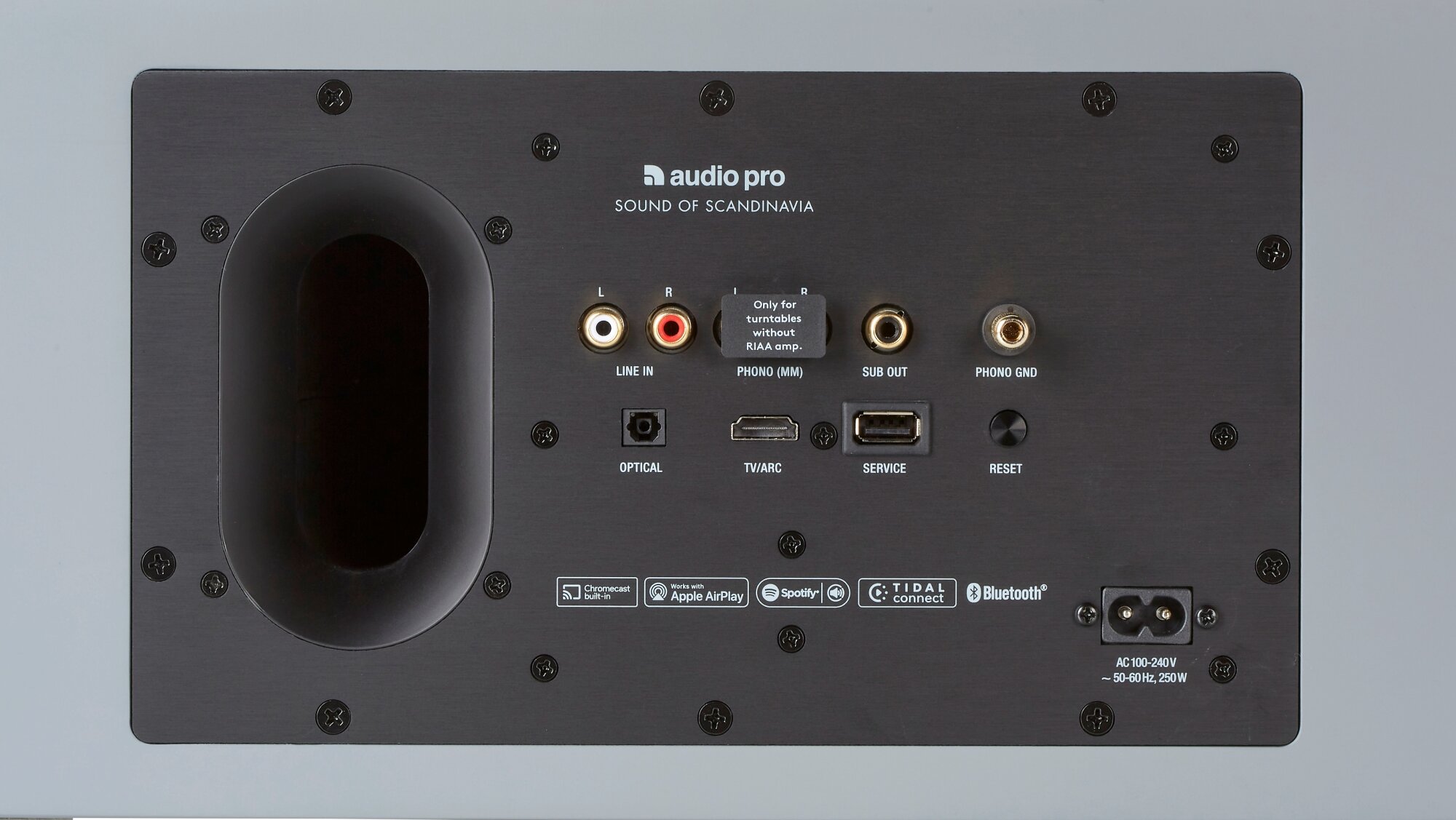 Audio Pro C20 Anschlüsse